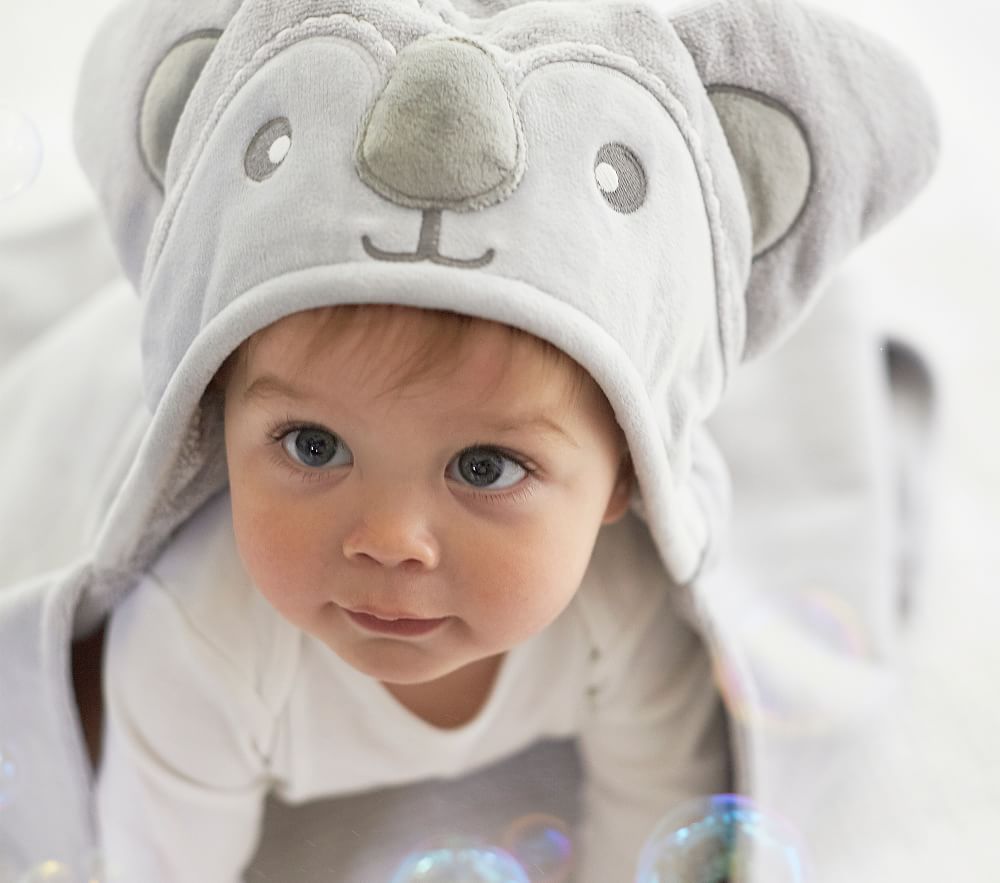 Koala Nursery Wrap